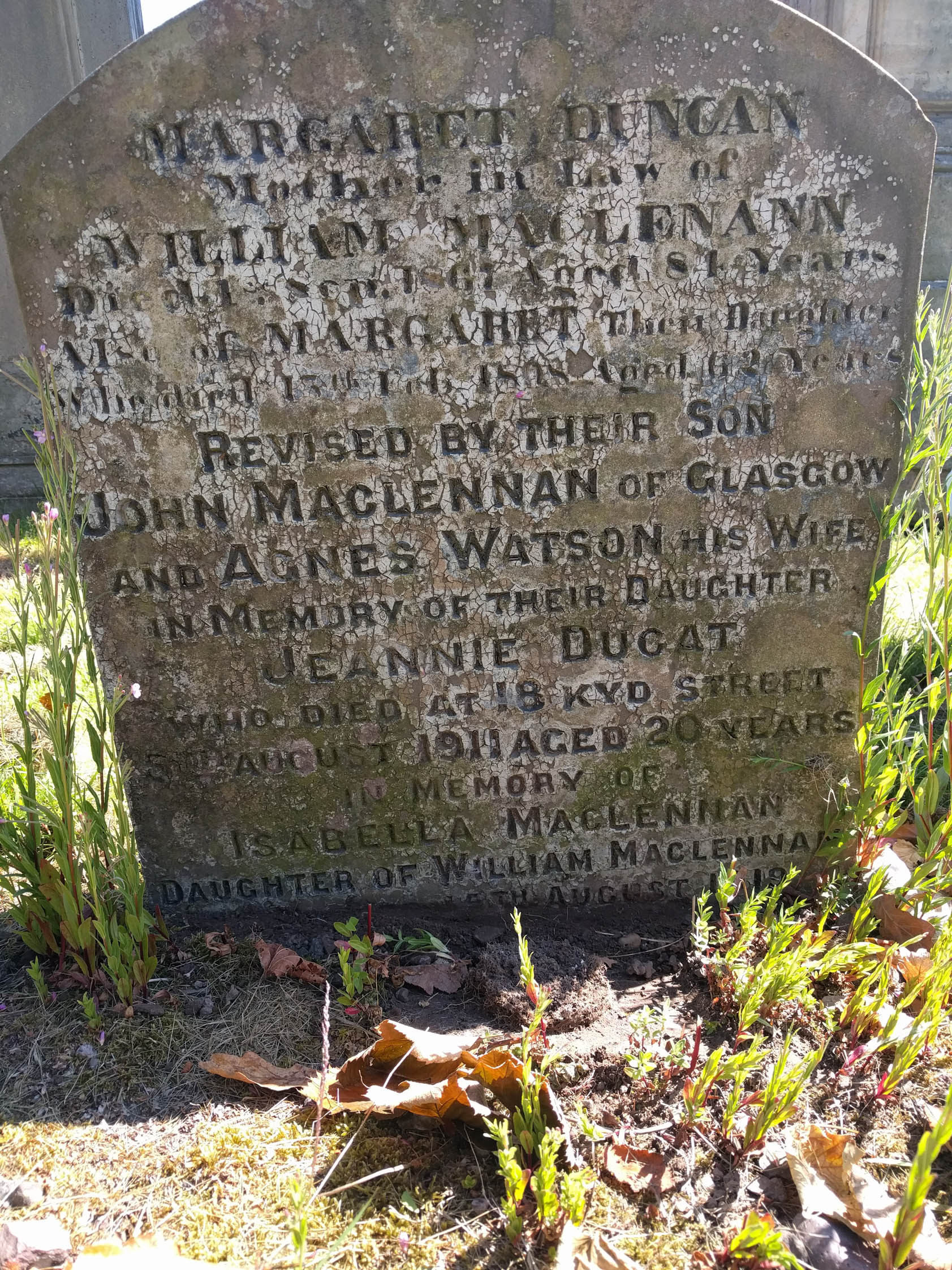 Photo of headstones/Isabella MacLennan died 1919 MI Arbroath